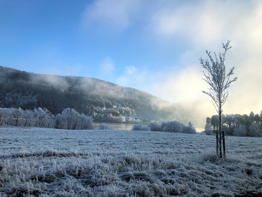 Bilete - Vinterlandskap