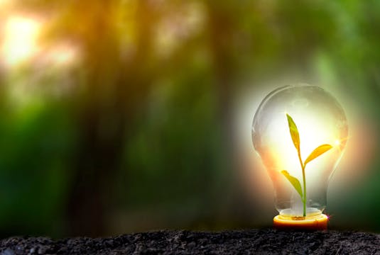 Bilete - Illustrasjon Berekraft